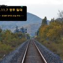 안강전자고등학교 | 2021.11.7 경주 일대