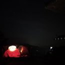 947 Daum카페