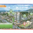 두성약국 이미지