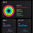 숲속의향기 이미지