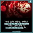 영양언니네