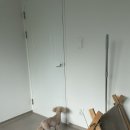 벨루스독 | 청주애견미용/노령견애견미용/수곡동산남동애견미용실추천/벨루스독 🦮🐕‍🦺🐕🐩