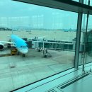 포도나무민박 | 스페인 자유여행 - 대한항공 직항/Renfe/한인민박/포도나무(한식당)