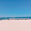 발리경포펜션 이미지