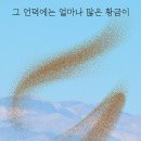 황금언덕 이미지