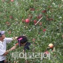 장수한우3 이미지