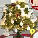 트리트리 이미지