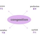 [IELTS 한단어씩-002] congestion 와 비슷한 의미를 가진 단어는? 이미지