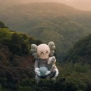 카우스 이미지