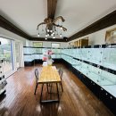 강아지분양 고양이분양 컴투펫 원주점 이미지