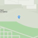 한여름밤의 돗자리 야외 극장 이미지