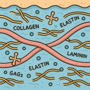 서울에스티(ST)셀의원 | 쥬브아셀 효과, 주사방식, 통증, 가격 (리투오 스킨부스터를 넘어설 것인가)