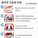 먹고삽시다 티스토리