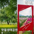 합천군 농업기술센터 | [경남/합천] 유채꽃 작약꽃 명소, 핫들생태공원