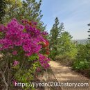 솔마루길 남산 이미지