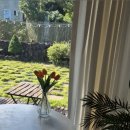 누코지스테이 이미지