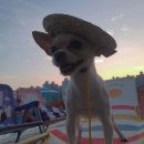 댕댕월드 이미지