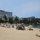 필당구장 | 쏠비치 삼척 강원도 여름휴가 리조트 추천 스위트 파셜 오션뷰