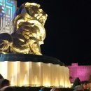 디오코스트