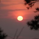 서해랑길(트레킹) 코스 이미지