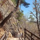 앵봉(좌) 이미지