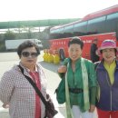 들에발전소 이미지