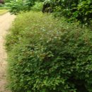 방울목장 이미지