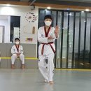 지상태권도 이미지