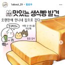 화이트리에인천루원시티점 티스토리