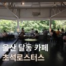 초석 | [울산 달동 카페] 시원한 통창뷰가 보이는 '초석로스터스'🌿| 내돈내산 후기