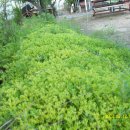 송우농장 이미지