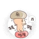드누