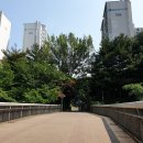 이매중학교 뒤 이미지