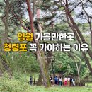광천리 | 영월 청령포 가볼만한곳 단종의 유배지 왕과사는남자 촬영지 후기