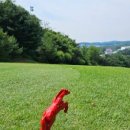 명문생선구이 이미지