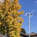 새미경로당 이미지