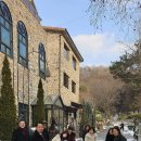 강가의 추억 이미지