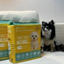 그린애견 | 8살 반려견 우탄이의 일상 필수템, 닥터그린 애견패드 사용 후기