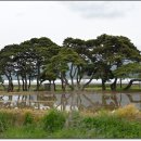 삼산 소공원 이미지