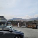 올래퍼피 | 팔공산 애견카페 퍼피80 다녀왔습니다~~!