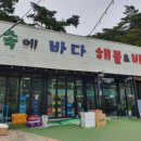 숲속에 바다 이미지