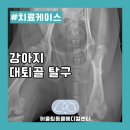 어울림동물메디컬센터 이미지