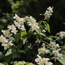 고산골 2 이미지