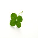 왕십리로(동측) 이미지