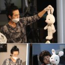 돼지토끼 이미지