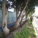 남원읍-8 이미지