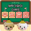 기운찬 동물병원 | 대구강아지분양 기운찬 하루