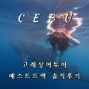 히어로스파 | 세부 고래상어투어 비용 예약 정리 패스트트랙 내돈내산 솔직후기