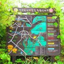 예향천리마실길 5코스 양고살재길 이미지