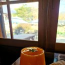 아지파파 이미지